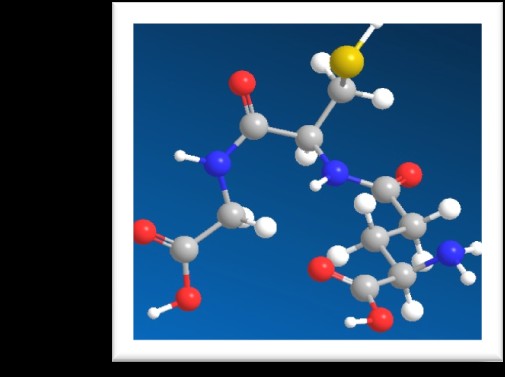 GSH Το τριπεπτίδιο γ-l-γλουταμυλ-l-κυστεΐνη-γλυκίνη (GSH) Θειόλη που απαντά στα θηλαστικά, στα