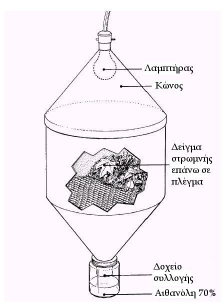 Σχ. 2: Συσκευή Berlese-Tullgren Ιπτάµενα έντοµα Υπάρχουν πολλοί τρόποι συλλογής ιπτάµενων εντόµων. Ο απλούστερος είναι µε τη χρήση απόχης.