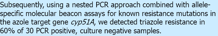 Direct detection of triazole resistance in A.