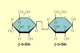 Υδατάνθρακες μονομερές glucose