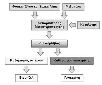 Εικόνα 6.2: Διαδικασία παραγωγής του βιοντίζελ πρώτης γενιάς Πηγή: http://www.agroenergy.