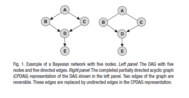 2.2 Δίκτυα Bayes (Στατικά-δυναμικά) Τα στατικά δίκτυα Bayes (BNs) είναι ευέλικτα μοντέλα για την αναπαράσταση πιθανοτικών σχέσεων μεταξύ των αλληλεπιδρώντων μεταβλητών (π.χ., γονίδια ή πρωτεΐνες).