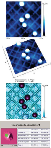 Επιστήμης των Υλικών [Schrand et al., 2010; New Medical, 2012; Νόχος, 2008; Καβαρνού, 2008]. Στην Εικόνα 2.