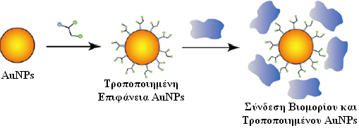 4.4 Η Τροποποίηση της Επιφάνειας των AuNPs Στις περισσότερες περιπτώσεις, η σύνθεση των AuNPs συνήθως πραγματοποιείται in Situ (επί τόπου) σε οργανικές και ανόργανες μήτρες, με διασπορά, εναπόθεση ή