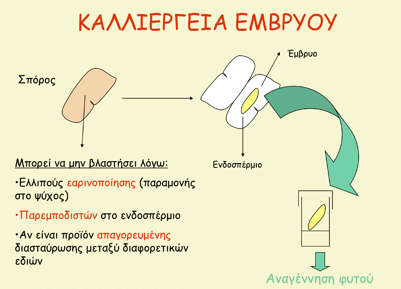 7.4. ΚΑΛΛΙΕΡΓΕΙΑ ΕΜΒΡΥΩΝ Η in vitro καλλιέργεια ζυγωτών εμβρύων (δηλαδή εμβρύων τα οποία προέρχονται από κανονική γονιμοποίηση) αποσκοπεί στη διευκόλυνση της βλάστησης του εμβρύου όταν αυτή δεν είναι