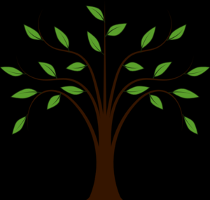 Ελιά, δέντρο μοναδικό στο πέρασμα του χρόνου: Εκπαιδευτικό πρόγραμμα