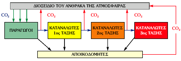 ΒΑΙΚΕ ΕΝΝΟΙΕ- ΕΠΙΗΜΑΝΕΙ: ΒΗΟΓΔΧΥΖΜΗΚΟΗ ΚΤΚΛΟΗ Σα ρεκηθά 