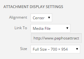 κάποιες ρυθμίσεις. Συγκεκριμένα, από το «Attachment Display Settings» αλλάζει το «Link To», από «Media File» σε «None», ώστε η εικόνα να μην μετατραπεί σε σύνδεσμο.