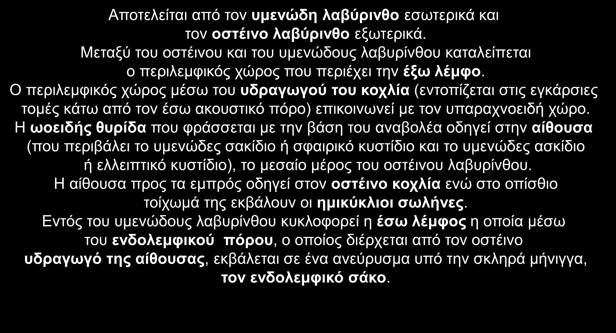 Αποτελείται από τον υμενώδη λαβύρινθο εσωτερικά και τον οστέινο λαβύρινθο εξωτερικά. Μεταξύ του οστέινου και του υμενώδους λαβυρίνθου καταλείπεται ο περιλεμφικός χώρος που περιέχει την έξω λέμφο.