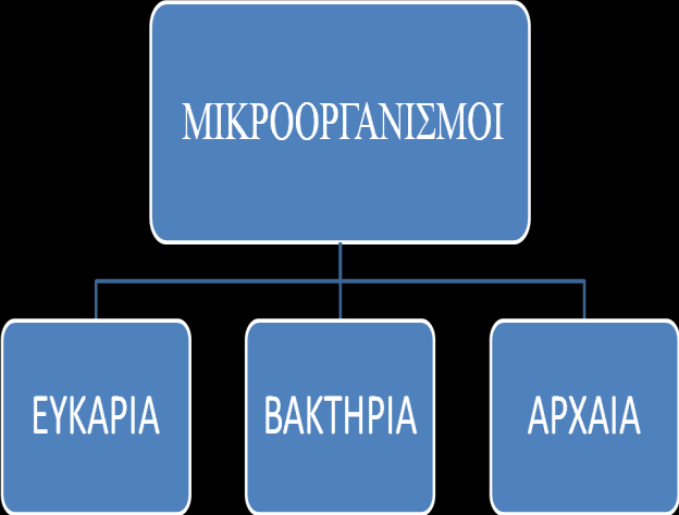 Εικόνα 1: Σχηματική απεικόνιση του διαχωρισμού των μικροοργανισμών βάσει του συστήματος ταξινόμησης που προτάθηκε από τον Carl Woese το 1990 και επικρατεί έως σήμερα 2.