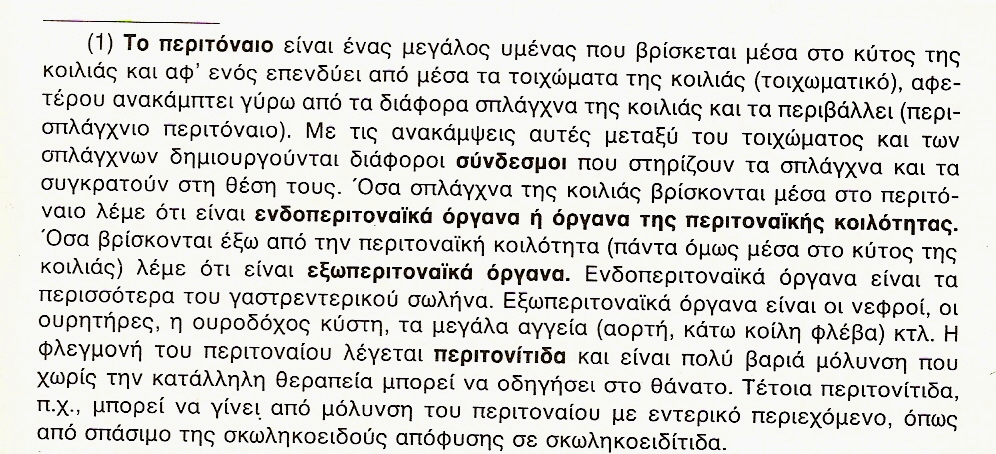 Η σκωληκοειδής απόφυση είναι ένας στενός, τυφλός σωλήνας, μήκους 6-10 εκατοστών. Εμφανίζει άφθονο λεμφικό ιστό και γι αυτό λειτουργικά κατατάσσεται και περιγράφεται στο ανοσοποιητικό σύστημα.