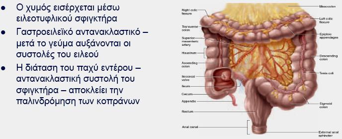 Κινητικότητα