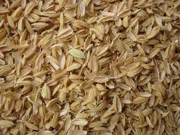 µορφές (βιοµηχανία): υπολείµµατα επεξεργασίας γεωργικών προϊόντων (ξηροί καρποί, ελιές, ρύζι, φρούτα,.