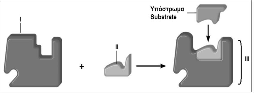32. Στο διάγραμμα φαίνεται η σχέση μεταξύ της συγκέντρωσης του υποστρώματος και της ταχύτητας της αντίδρασης που καταλύεται από το ένζυμο φωσφατάση.