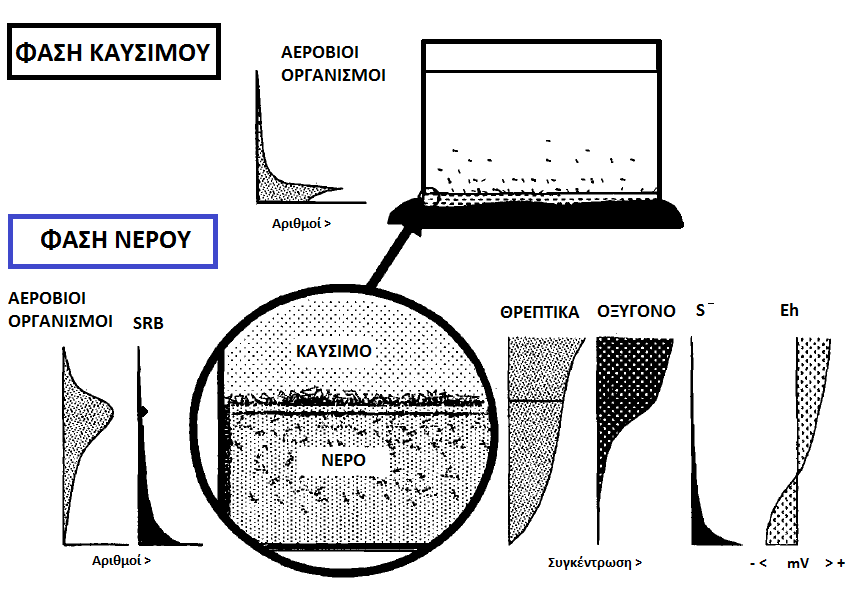 Σχήμα 1.