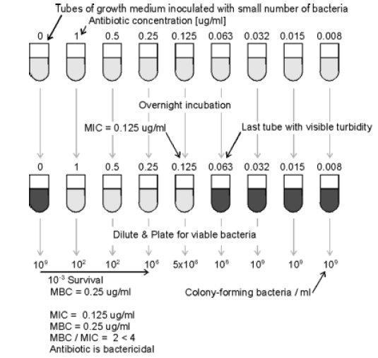 (+) μάρτυρας ανάπτυξης Συγκέντρωση αντιβιοτικού σε μg/ml Αν MΒC/MΙC < 4 τότε το αντιβιοτικό είναι βακτηριοκτόνο MIC = 0.
