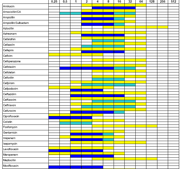 Αραιώσεις αντιβιοτικών Gram