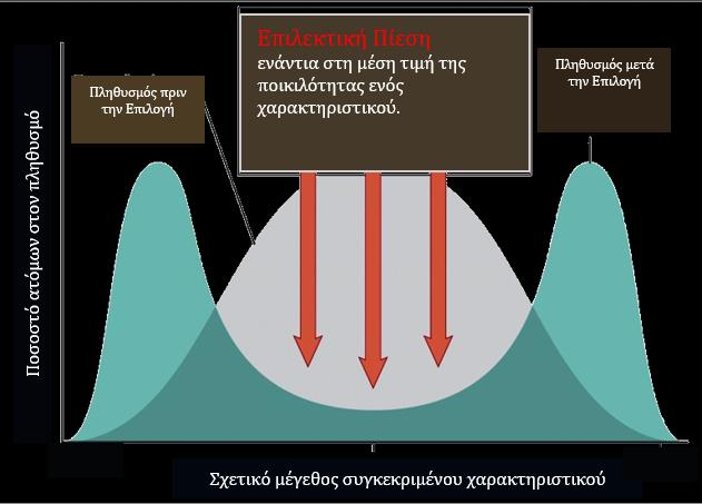 Μηχανισμοί της Εξέλιξης Η Φυσική Επιλογή ως μηχανισμός προσαρμογής είναι ίσως η πιο σημαντική συνεισφορά του