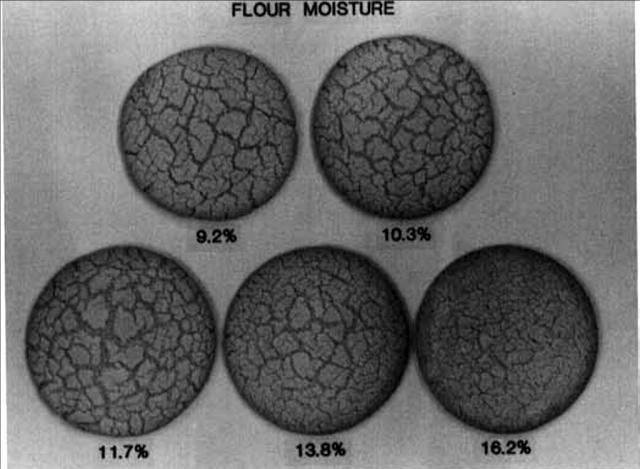 Σχήμα 2.2.: Επίδραση της υγρασίας αλεύρου στην επιφάνεια σπασίματος (Doescher και Hoseney 1985). 2.6.3.