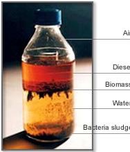 Βιοσταθερότητα Σταθερότητα κατά της οξείδωσης Το βιοντίζελ είναι προκύπτει πολύ υγροσκοπικό από φυσικά λιπαρά (απορροφά οξέα. το Αυτά νερό).