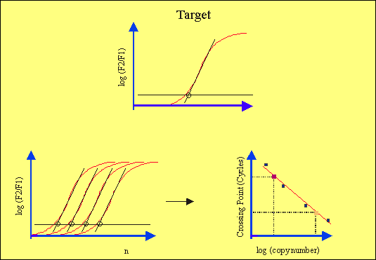 ΠΟΣΟΤΙΚΟΠΟΙΗΣΗ (Quantification NOT Quantitation!