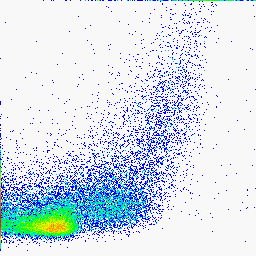 Γιατί οι χρώσεις βιωσιμότητας; 26.9 FL1 anti-mouse IgG Isotype+ Ungated Τα νεκρά κύτταρα συνδέονται μη ειδικά με τα αντισώματα.