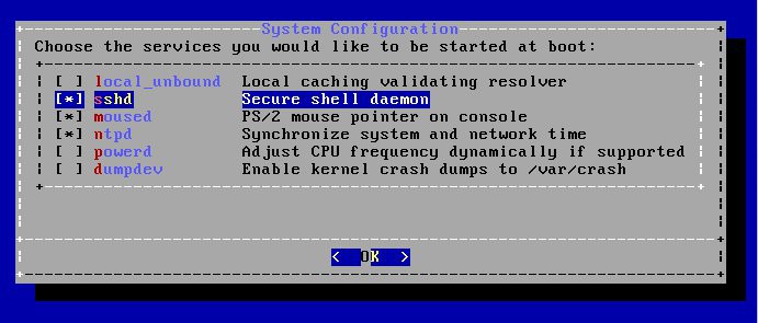 Στο διάλογο αυτό θα ερωτηθούμε για τις υπηρεσίες που θέλουμε να εκκινούν στην εκκίνηση του υπολογιστή μας: Για να έχουμε απομακρυσμένη πρόσβαση μέσω ssh, επιλέγουμε sshd Για να έχουμε mouse στην