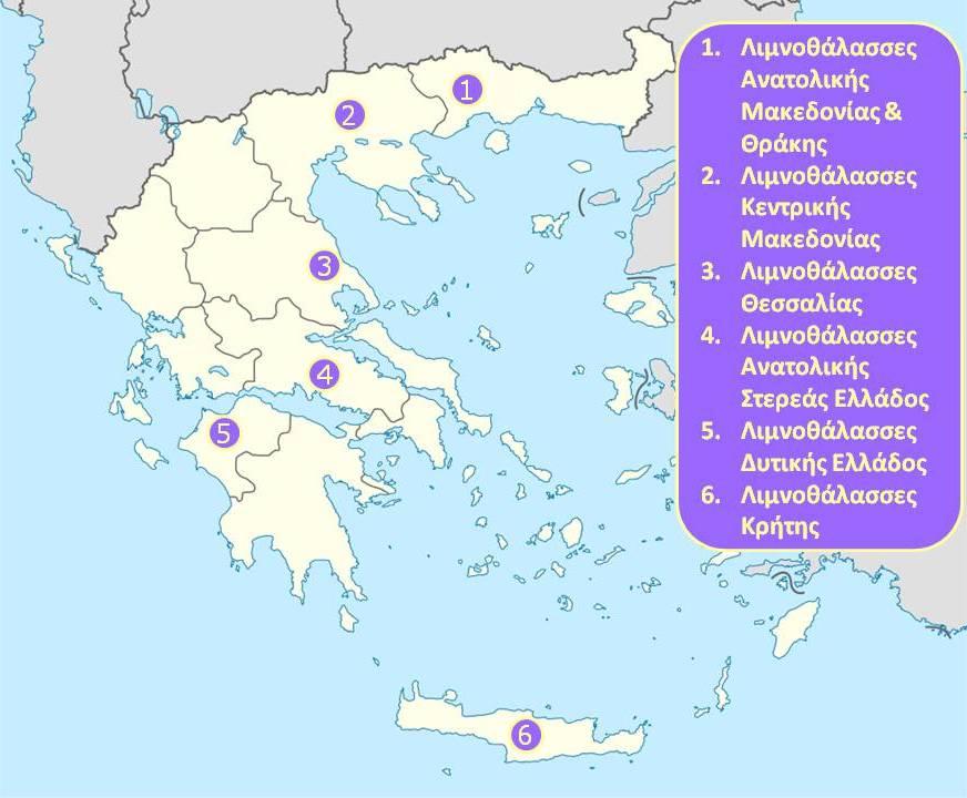 Τα περισσότερα χρησιμοποιούνται στην ιχθυοκαλλιέργεια.