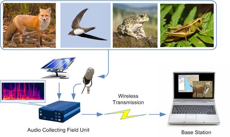 AmiBio: Automatic acoustic Monitoring Inventorying of BIOdiversity LIFE08 NAT/GR/000539 Προχπολογιςμόσ: 1,664,282.00 Life+ Χρηματοδότηςη: 830,641.00 Διάρκεια: 01/02/2010 to 30/06 /2013 http://www.