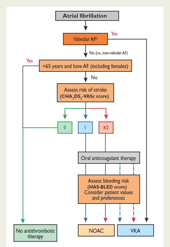 «.Thus, female patients with gender alone as a single risk factor (still a CHA2DS2-VASc score of 1) would not need anticoagulation if