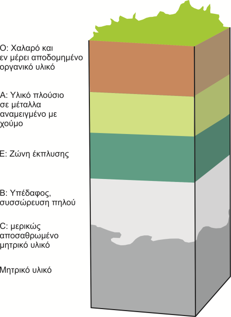 υπολείμματα), A (μέταλλα αναμειγμένα με οργανικό υλικό), Ε (ζώνης έκπλυσης), B (υπέδαφος) και C (χαλαρό υλικό από το οποίο προέρχονται τα ανόργανα υλικά).