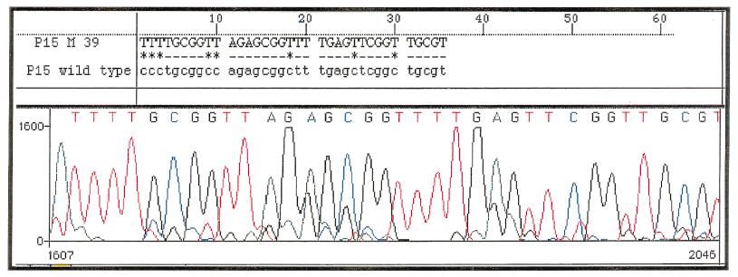 Μοριακή Παθογένεια των MDS circa 1998 Ενα γονίδιο σε κάθε προσπάθεια : p15 INK4b