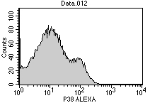 CD56 + UNSTIMULATED CD56 IgG1