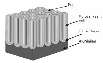 Κεφάλαιο 1 ο - Πορώδης αλουμίνα Εικόνα 1.3: Σχηματική αναπαράσταση των γεωμετρικών χαρακτηριστικών (δεξιά) και της δομής (αριστερά) υμενίου πορώδους αλουμίνας στην επιφάνεια αλουμινίου.