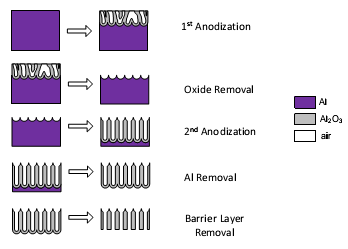 Κεφάλαιο 2 ο - Μελέτη ανάπτυξης μεμβρανών πορώδους αλουμίνας Εικόνα 2.3: Στάδια της τεχνικής ανοδίωσης «δύο βημάτων» για την δημιουργία free- standing μεμβρανών πορώδους αλουμίνας.