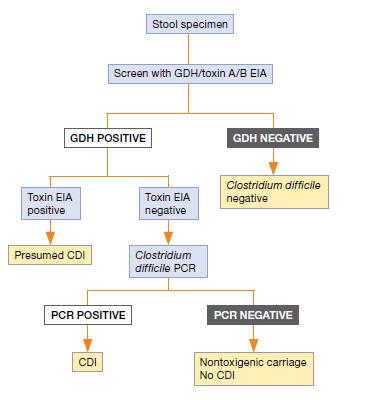 ESCMID-SHEA/IDSA C.