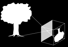 Quantum Spin Off 6 Σχήμα 3: Φως που καταφθάνει στην πίσω πλευρά του σκοτεινού θαλάμου πρέπει να περιέχει πληροφορίες για το δέντρο.