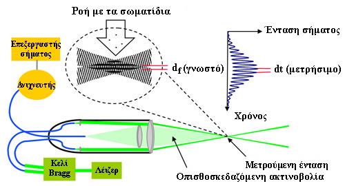Σχήμα 2.8: Χαρακτηριστική απεικόνιση τριχοειδούς κυψελίδας 130 Η LDV χρησιμοποιεί τη κυματική φύση του φωτός λέιζερ.