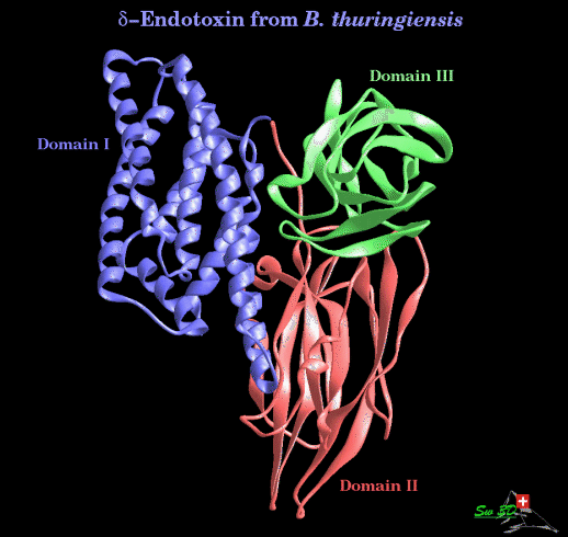 Bacillus thuringiensis Ζει στο έδαφος Παράγει µια τοξίνη 80.