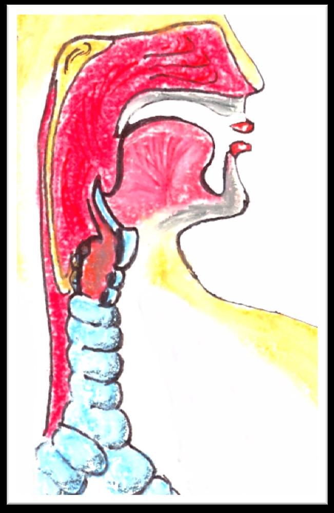 Οι είσοδοι του αέρα στο ανθρώπινο σώμα Οι είσοδοι του αέρα στο ανθρώπινο σώμα είναι η μύτη και το στόμα.