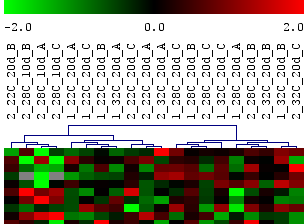 Στο κλαδόγραµµα της εικόνας 3.