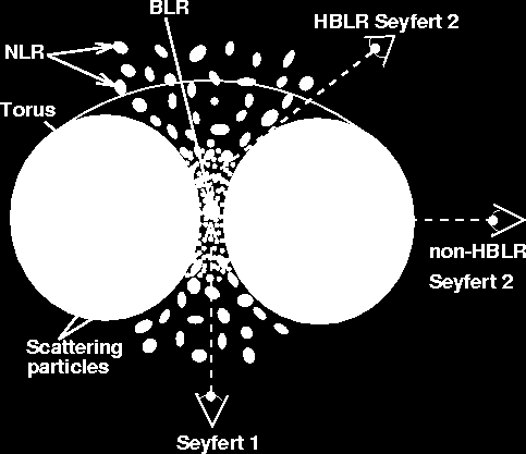 Σέιφερτ τύπου II Αυτοί είναι πλούσιοι σε μεσογαλαξιακό υλικό και η ακτινοβολία του πυρήνα τους α- πορροφάται α- πό τη σκόνη των νεφών που σαρώνουν με μεγάλες ταχύτητες τις περιοχές του κέντρου