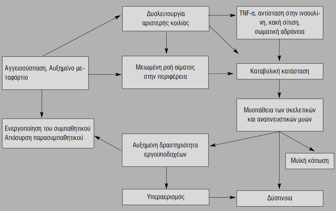 Η επηδείλσζε ησλ ζπκπησκάησλ ησλ