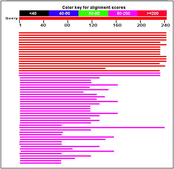 BLAST Results Domain identification Αποτελέσματα με μικρότερο μήκος: