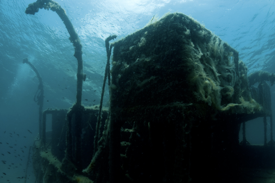 Page 6 Photo Gallery «Καλή Τύχη» Φωτογραφίες: Αρετή