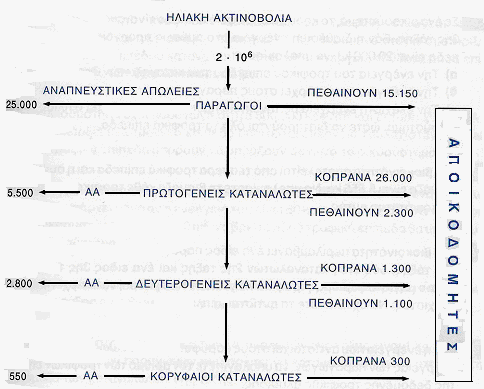 28. Σο παρακάτω σχήμα δείχνει ποσά ενέργειας σε kj. m -2. έτος -1 σε μια βιοκοινότητα. α.