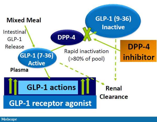 πρωτεάση-διπεπτιδυλ-πεπτιδάση 4-DPP-4 DPP-4 inhibitor