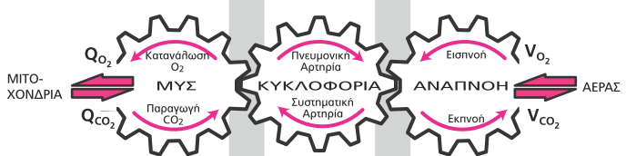 2 ο Επιμορφωτικό Σεμινάριο ΕΚΕ