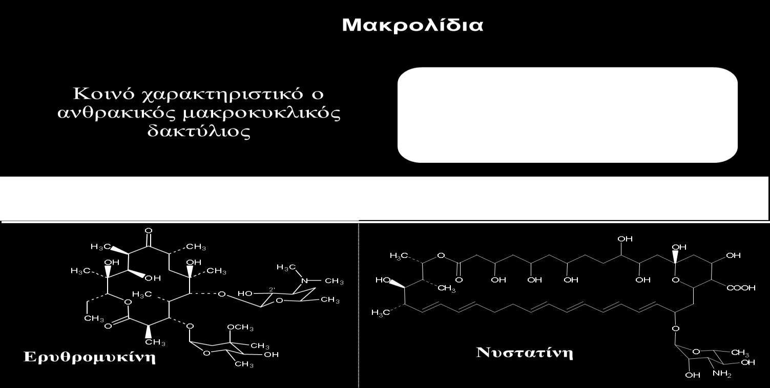 Αντιβιοτικά μακροκυκλικών δακτυλίων (ερυθρομυκίνη, νυστατίνη) 11.8.2 Στεροειδή Ορισμένοι μικροοργανισμοί είναι ικανοί να τροποποιούν τη δομή των στεροειδών ενώσεων, ιδιότητα με βιομηχανικό ενδιαφέρον.