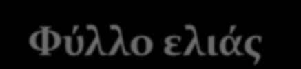 Μετϊ, ο ιερϋασ ευλογεύ το δοχεύο με το λϊδι το οπούο κρατϊ ο ανϊδοχοσ με τα δυο του χϋρια,